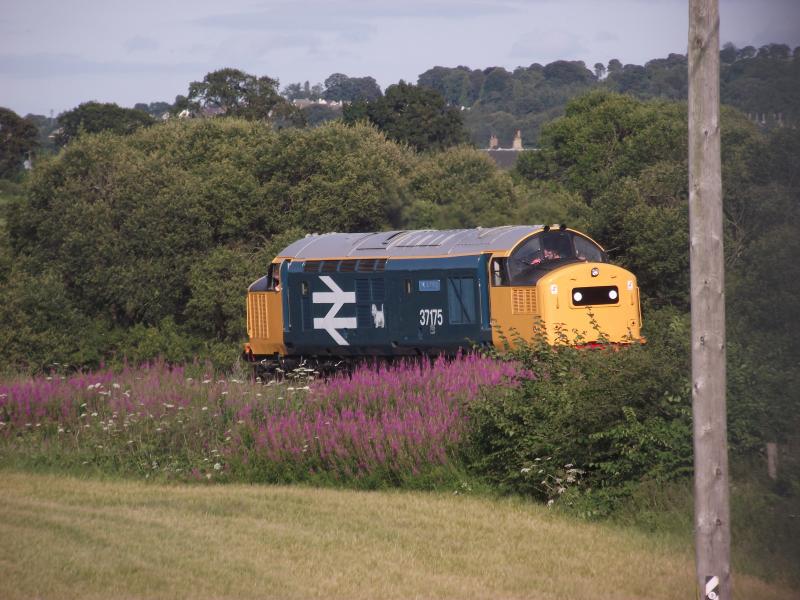 37175 at Manuel: 37175 W.S.Sellar runs round the train at Manuel on the Bo'ness and Kinniel Railway. Photo of 37175 at Manuel