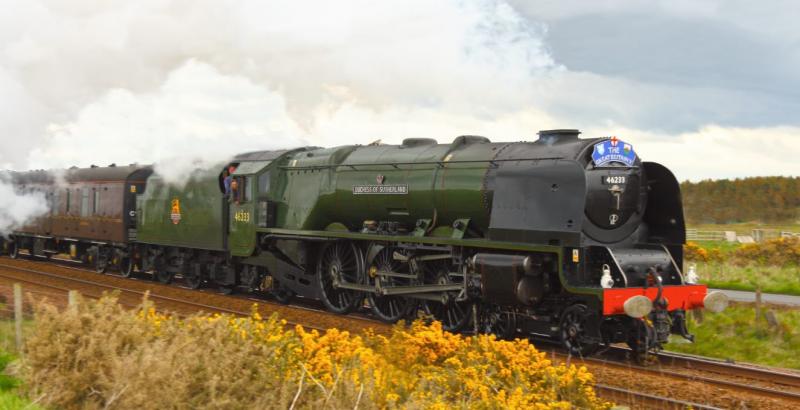 46233 Duchess.jpg: 46233 Duchess of Sutherland near Gailes Level Crossing, edited by my brother. No OHLE, diggers, rubbish etc as he has the technolgy to remove them..... Photo of 46233 Duchess.jpg
