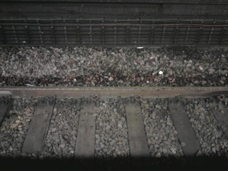 No leaves down 'ere, mate!: Photo of No leaves down 'ere, mate!