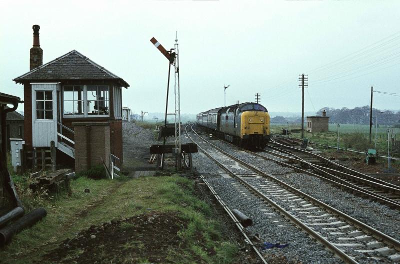 CRAIGO BOX 1981: 55019 ON 16.30 ABDN-YK 8.5.81 SLOWS FOR P.W. WORK AT CRAIGO Photo of CRAIGO BOX 1981