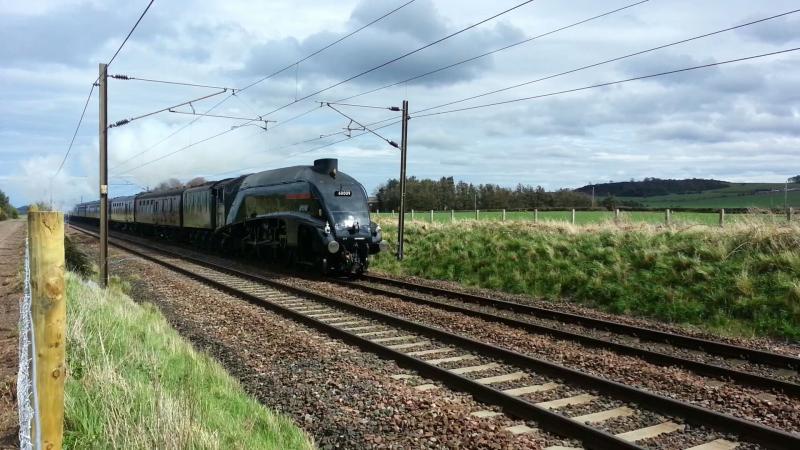 60009 @ Ballencrieff nr Drem 4/5/13: A4 60009 union of South Africa passing Ballencrieff with the Heart of Midlothian tour to Waverley. Photo of 60009 @ Ballencrieff nr Drem 4/5/13
