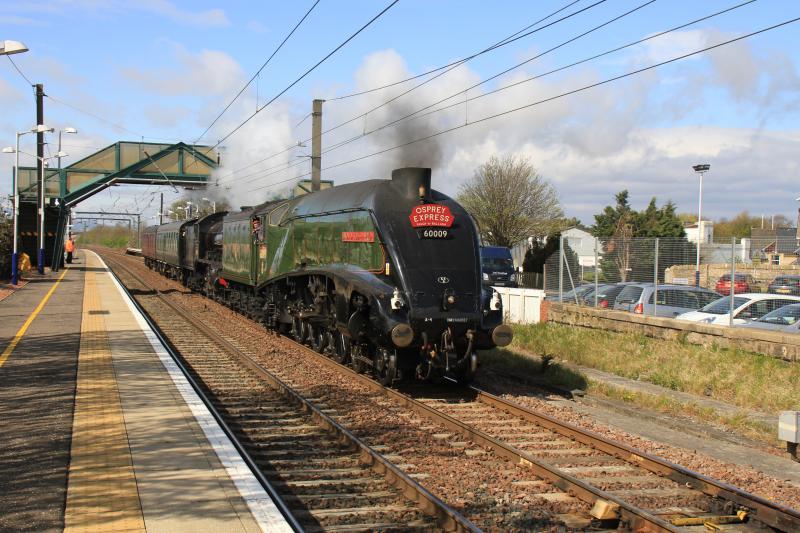 Osprey Express : 60009 with 61994 & 2 support coaches entering the loop at Prestonpans on 5Z94 08.10 Thornton TC to York NRM on 06/05/2013 Photo of Osprey Express