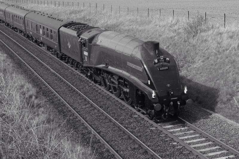 60009 at Craigo, 03/05/2014: 60009 Union of South Africa heading south just passed Craigo at 15:40 on 03/05/2014
by Gordon Fullerton Photo of 60009 at Craigo, 03/05/2014