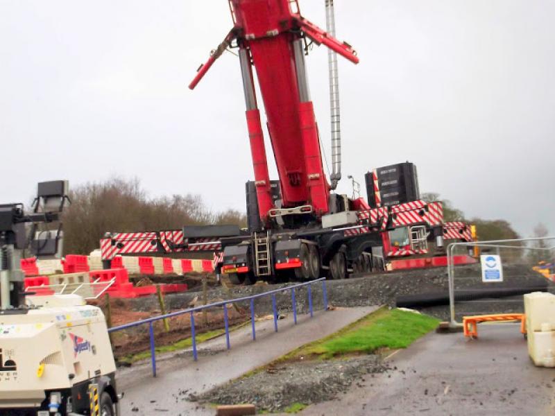 crane awaiting action: Photo of crane awaiting action