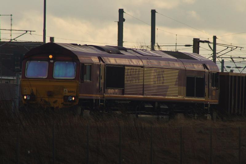 66144: sitting in Falkland yard Photo of 66144