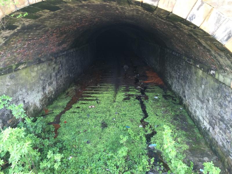 Uncovered Entrance to Alloa Central Junction tunnel.: Uncovered Entrance to Alloa Central Junction tunnel. Photo of Uncovered Entrance to Alloa Central Junction tunnel.