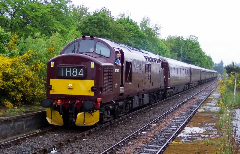 37 261 on Royal Scotsman: 23rd May 2005 - entering Muir of Ord on return trip from Kyle. I think this was the first time a West Coast 37 worked the train (certainly in this neck of the woods.) Photo of 37 261 on Royal Scotsman