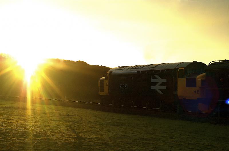37025 sunset: 37025 sunset at the Bo'Ness 37 gala December 2007. Photo of 37025 sunset