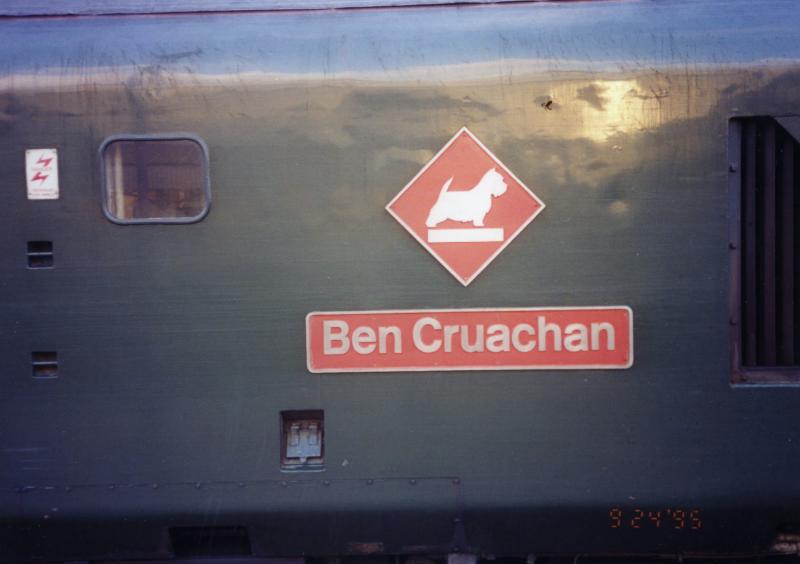 What's in a name: Closeup of nameplate and Eastfield West Highland Terrier logo applied to D6607. Photo of What's in a name
