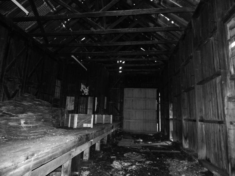 Brora Goods Shed: The original wooden Highland Railway goods shed still stands in fairly good condition. Photo of Brora Goods Shed