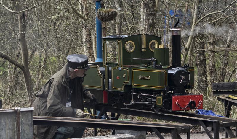 WESTER PICKSTON RLY EASTER SUNDAY 2017 (3).jpg: Photo of WESTER PICKSTON RLY EASTER SUNDAY 2017 (3).jpg