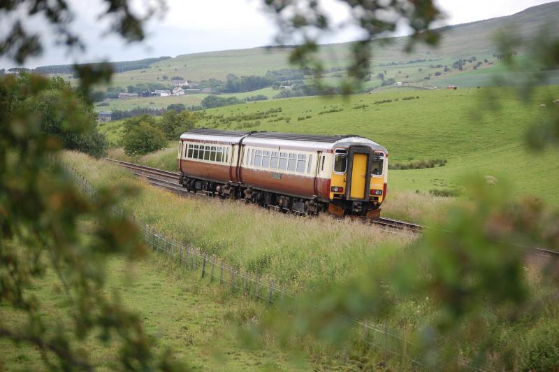 Foliage frame: 1556433 near New Cumnock on 1M88 Glasgow-Carlisle 7/7/08 Photo of Foliage frame