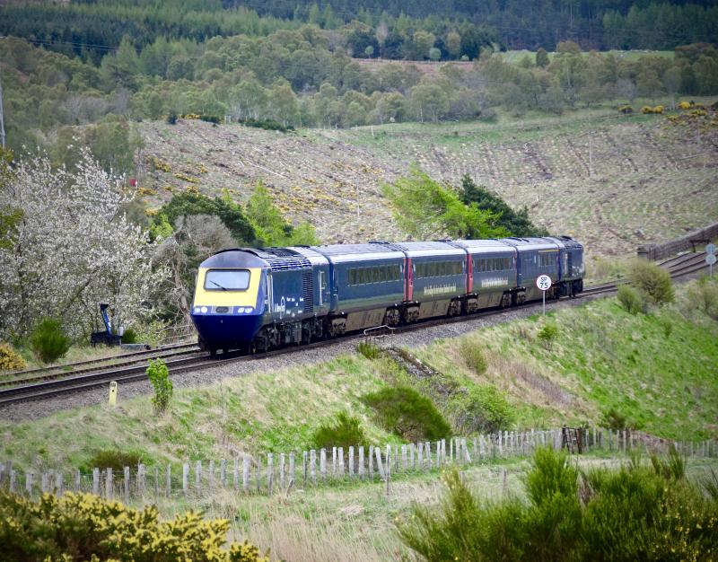 HST trainer at Culloden Moor: HST Trainer Photo of HST trainer at Culloden Moor