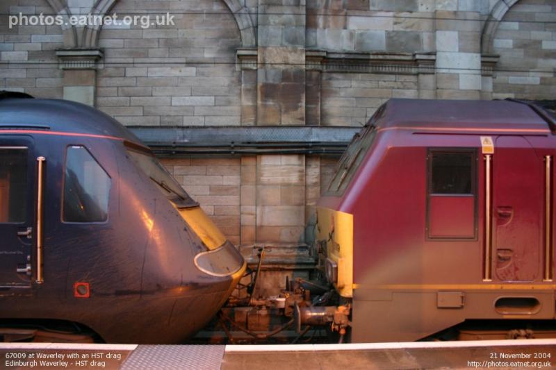 Nose to nose: Photo of Nose to nose