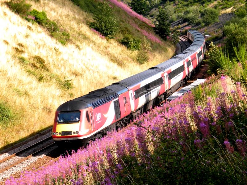 43272 @ Gleneagles - 11 August 2018: '1E13', Inverness to London Kings Cross express, heading south through Gleneagles cutting, at 12.16 Photo of 43272 @ Gleneagles - 11 August 2018