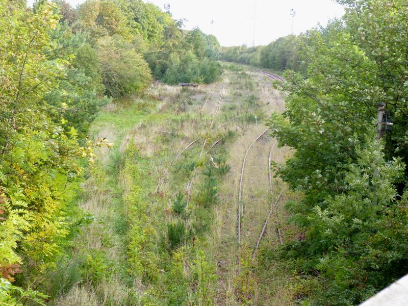 Cockenzie Power station reception sidings September 2018: The sidings viewed from the bridge over the entrance to the yard, looking towards the former unloading buildings (now demolished). Photo of Cockenzie Power station reception sidings September 2018