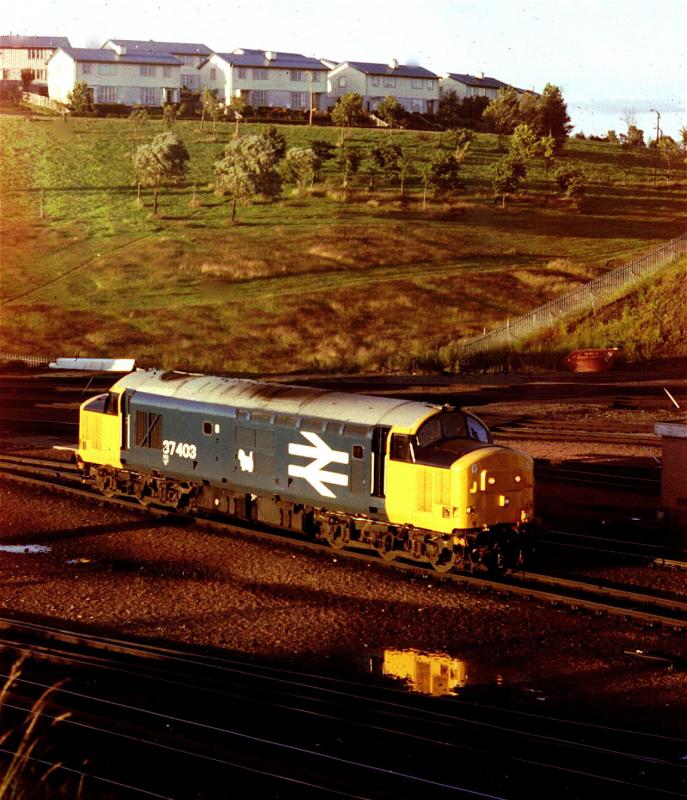 Large Logo 37403: 37403 at Eastfield July 1985. Photo of Large Logo 37403