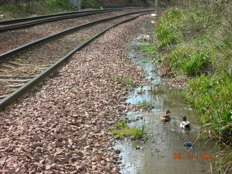 Photo of