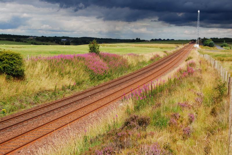 Where Is The Train When You Need It: Photo of Where Is The Train When You Need It