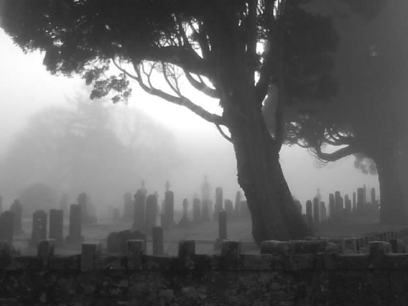 Creepy graveyard: A graveyard outside Dingwall. Photo of Creepy graveyard