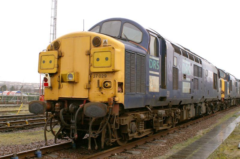 37029: 37029 in the yard after arrival at Railcare Glasgow 0n the 13/03/07 Photo of 37029