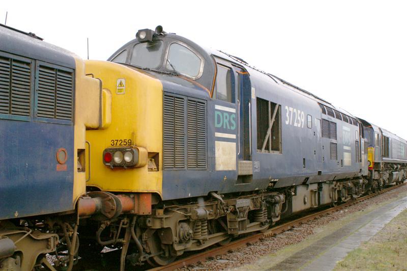 37259: 37259 in the yard after arrival at Railcare Glasgow on the 13/03/07 Photo of 37259