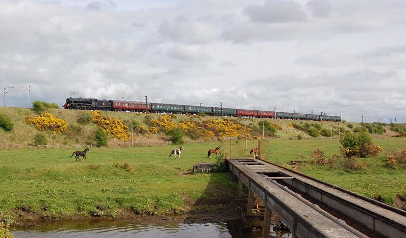 Horses-wild and iron: THe Coronation railtour between Irvine and Kilwinning, on its return from Ayr to Edinburgh on 16th May 2010 Photo of Horses-wild and iron