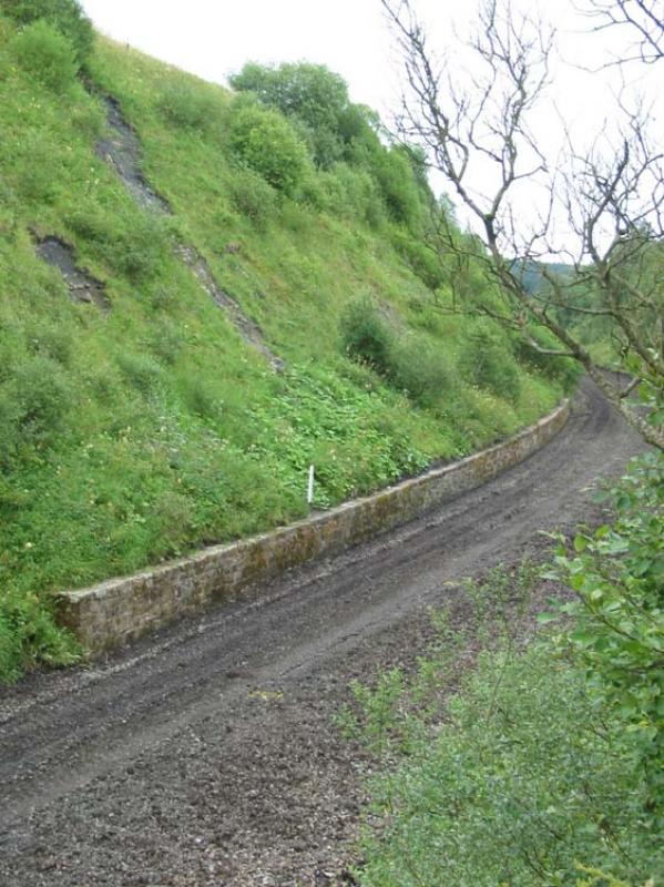 Ninestane Rig Cutting: Ninestane Rig Cutting at Whitrope on the Waverley Route, shortly after the trackbed was cleared by the Waverley Route Heritage Association. 1000 yards length, 65 feet high. Photo of Ninestane Rig Cutting
