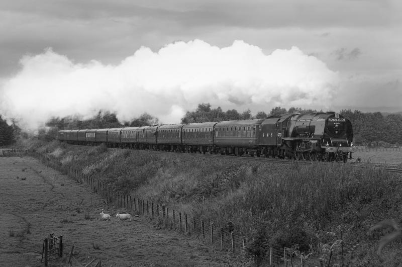 6233: 6233 Duchess of Sutherland at Bannockburn station road shortly after leaving Stirling with 1Z71 Stirling-Stafford rail tour Photo of 6233