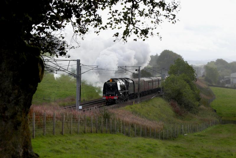 6233 Duchess of Sutherland passing Cleghorn: The Duchess makes a fine sight on the 1 in 205 gradient near Cleghorn level crossing. 2 October 2010 Photo of 6233 Duchess of Sutherland passing Cleghorn