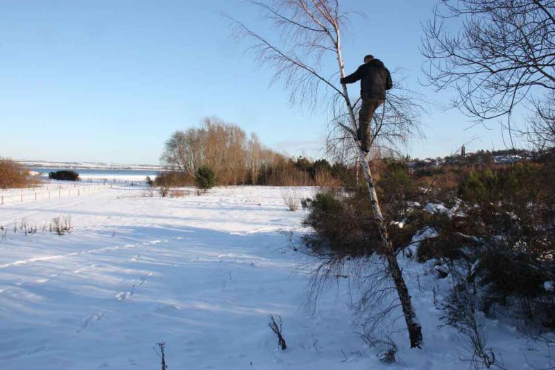 Superior Elevation: Elevation helps to often make a better photograph. This is superior elevation in very demanding conditions. PAA at Kinneil, 5 december 2010. Photo of Superior Elevation