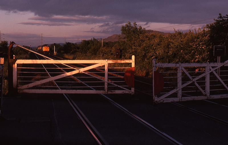 Camps crossing gates: An up 40 is held short of the failed gates at the beginning of July 1979 Photo of Camps crossing gates