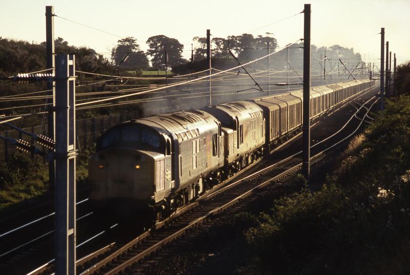 Photo of ECML Pet Food