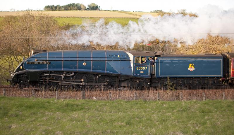 Sir Nigel Gresley: A lucky last shot of SNG as it heads behind the embankment at Houndwoood 16.4.11 Photo of Sir Nigel Gresley