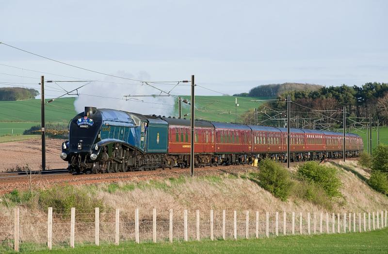 60007 at Restonhill: A different view from that of ilfa162003 of Sir Nigel Gresley passing Restonhill on the Berwick - Edinburgh leg of GB4. 16 April 2011 Photo of 60007 at Restonhill