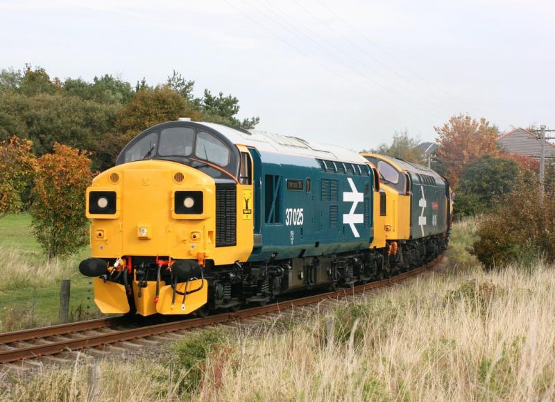 37025 + 40145: Photo of 37025 + 40145