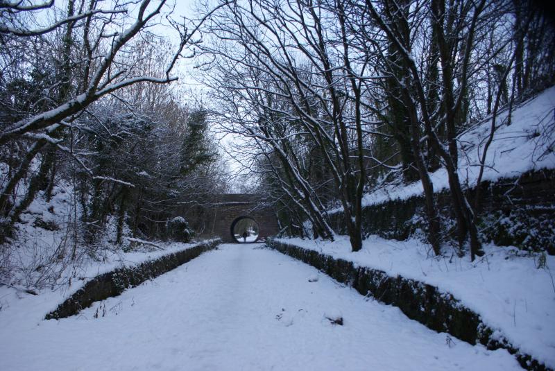 Photo of Milton of Campsie Station - Campsie Branch Line