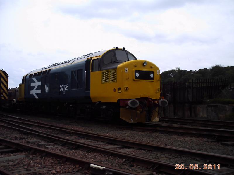 37175 in Bo'ness: 37175 sits in Bo'ness yard. 20/5/2011 Photo of 37175 in Bo'ness