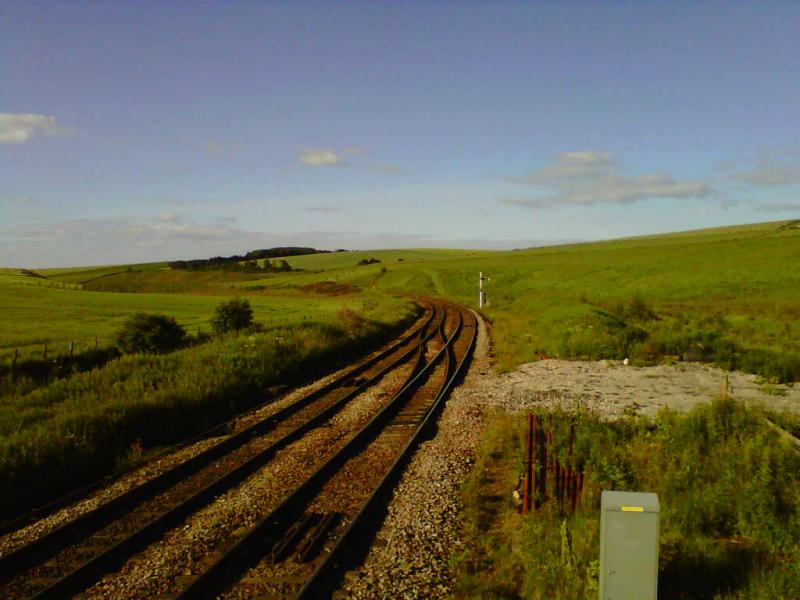 looking south: The remote view from my new location. Photo of looking south